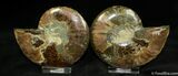 Inch Polished Pair From Madagascar #1283-2